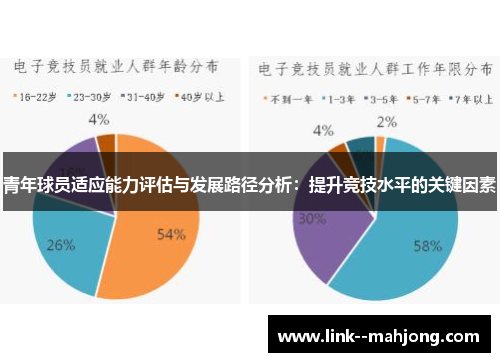 青年球员适应能力评估与发展路径分析：提升竞技水平的关键因素